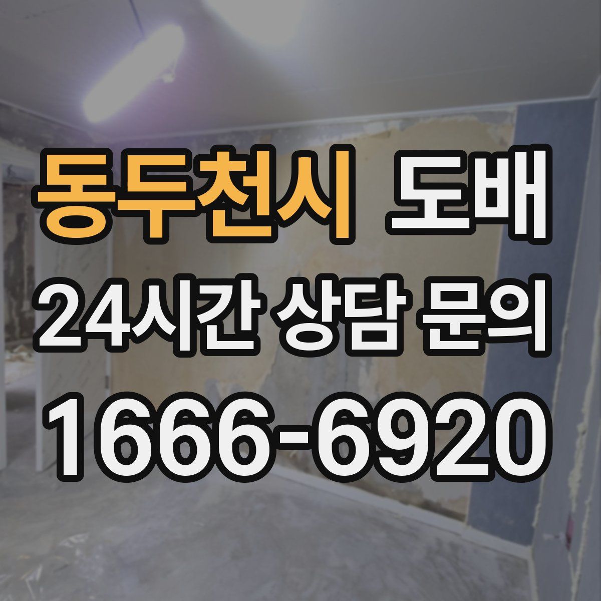 동두천시 도배