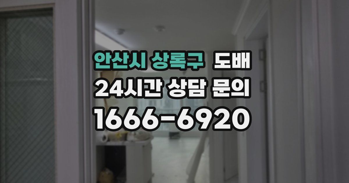 안산시 상록구 도배