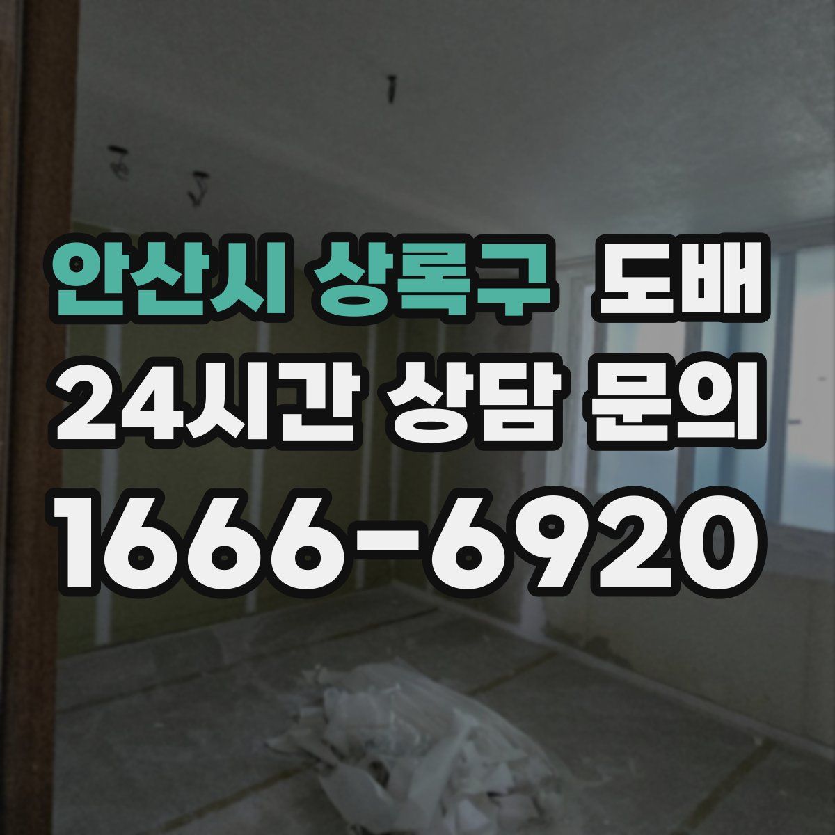안산시 상록구 도배