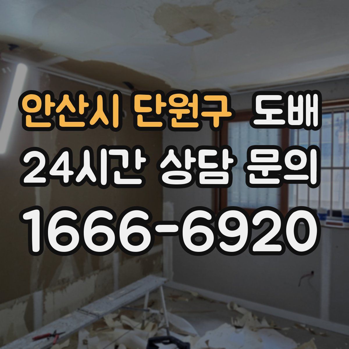 안산시 단원구 도배