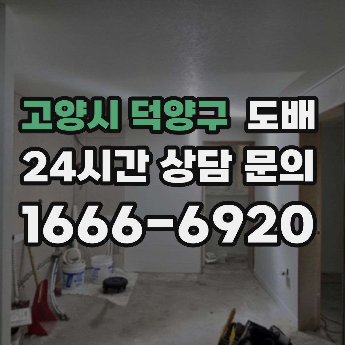 고양시 덕양구 도배