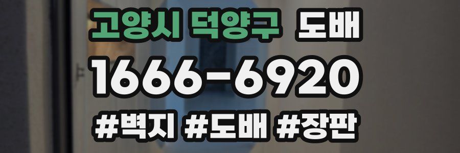 고양시 덕양구 도배