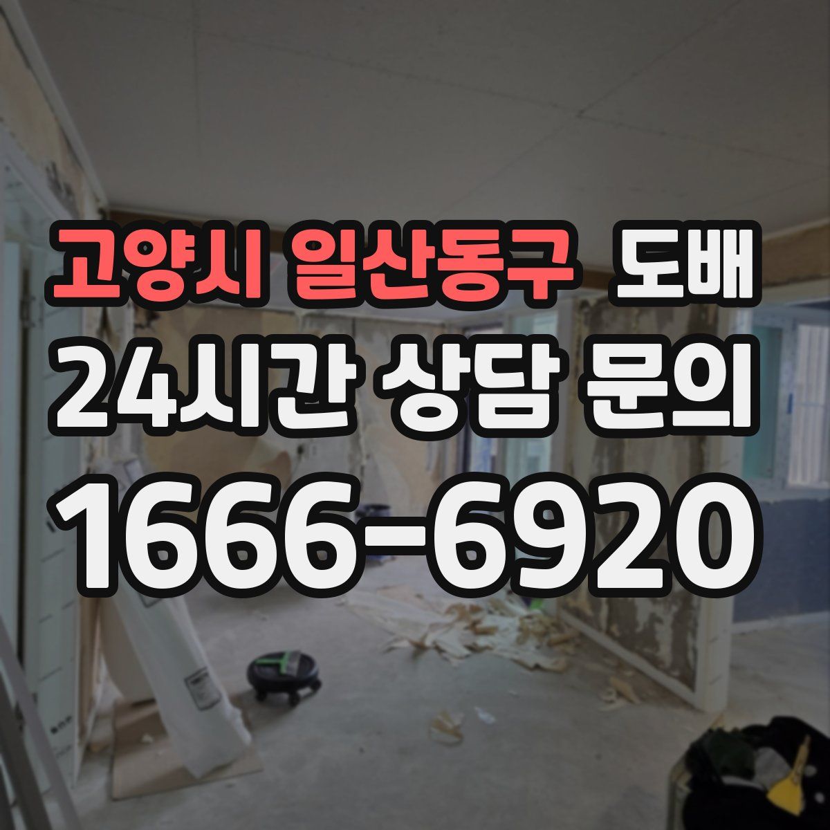 고양시 일산동구 도배