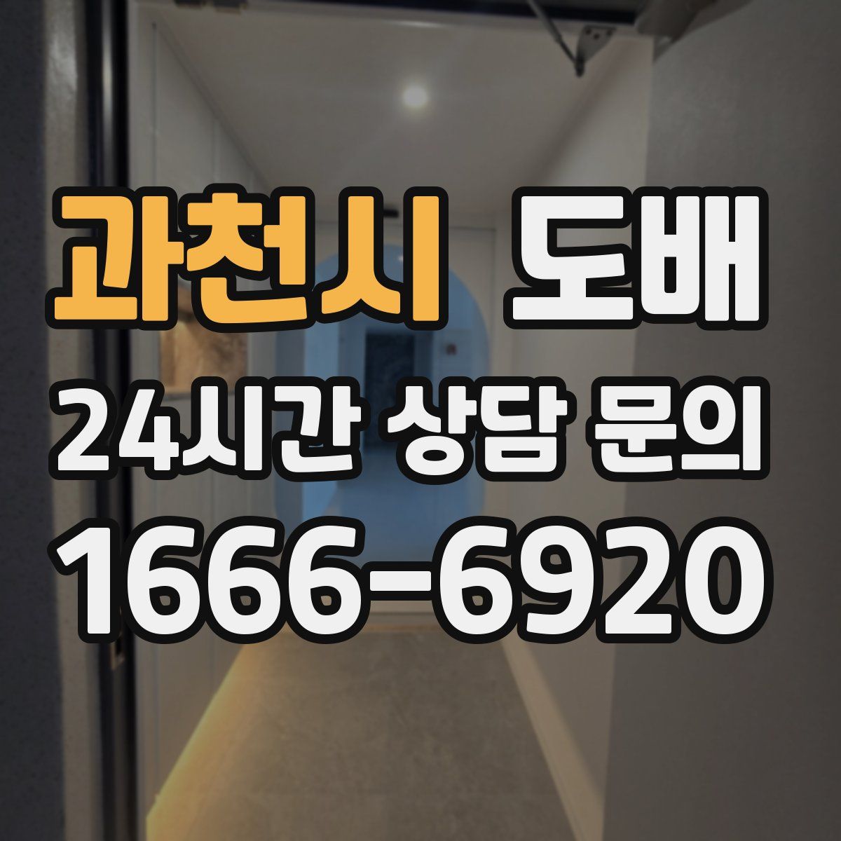 과천시 도배