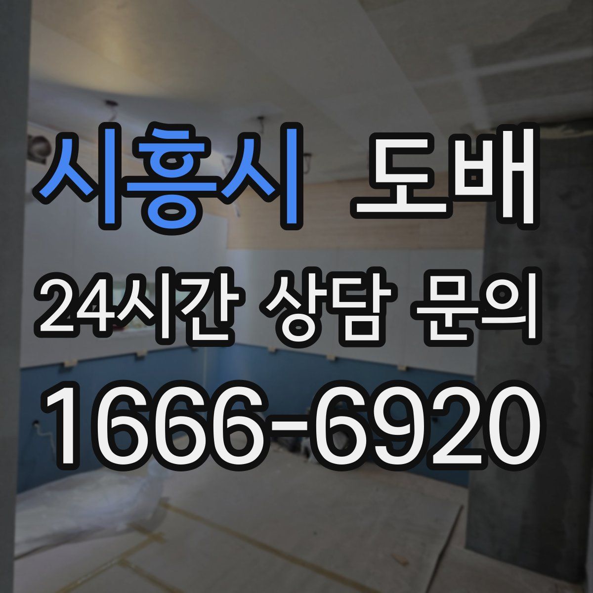 시흥시 도배
