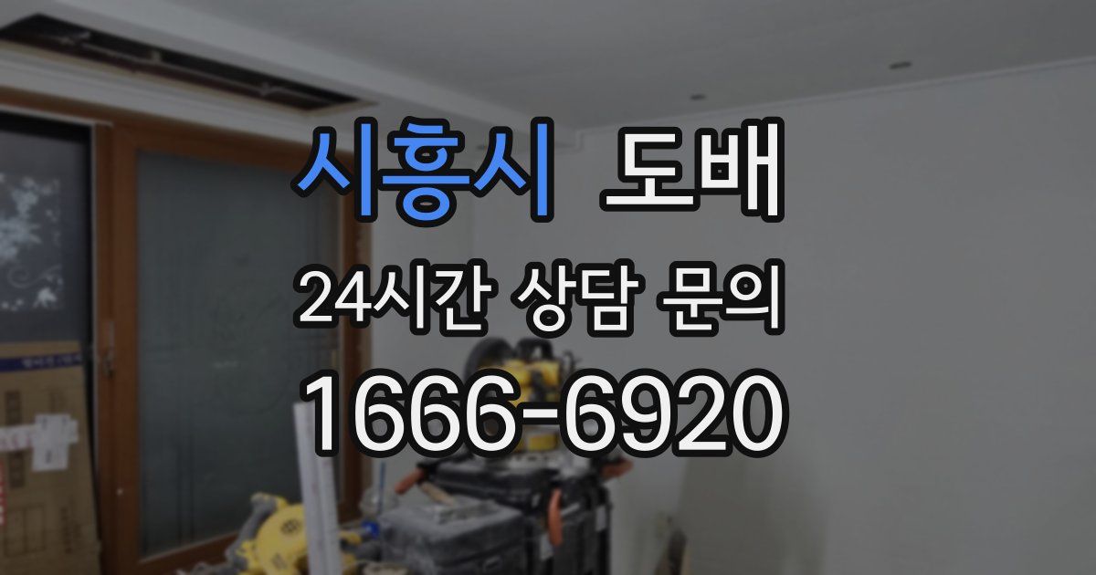시흥시 도배