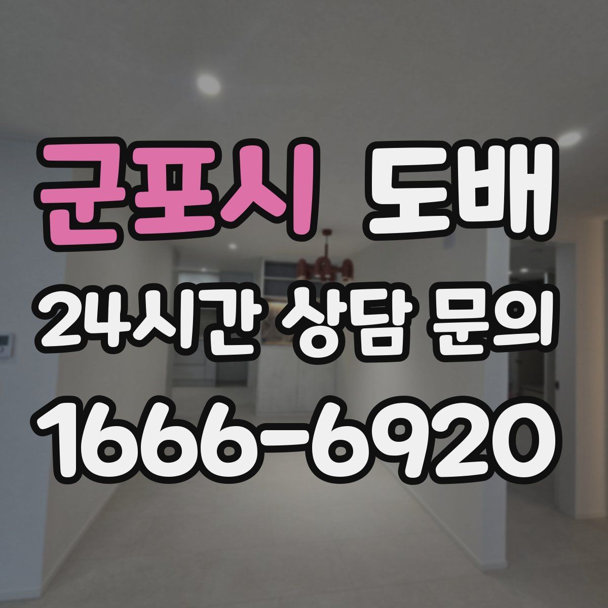 군포시 도배