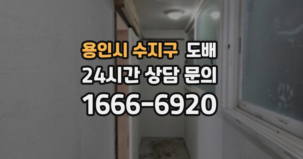 용인시 수지구 도배