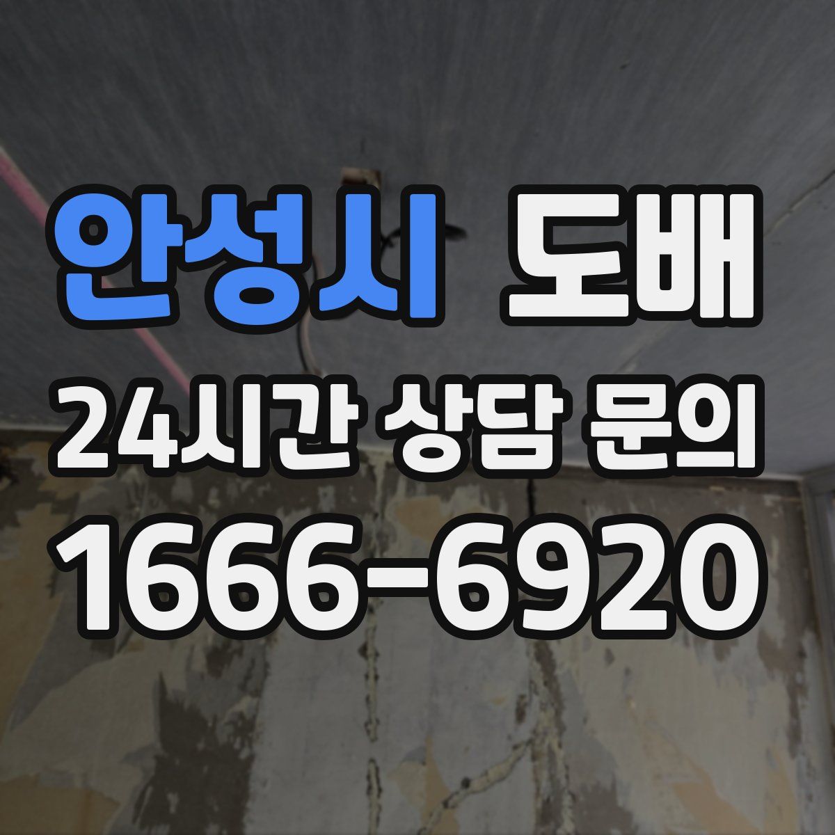 안성시 도배