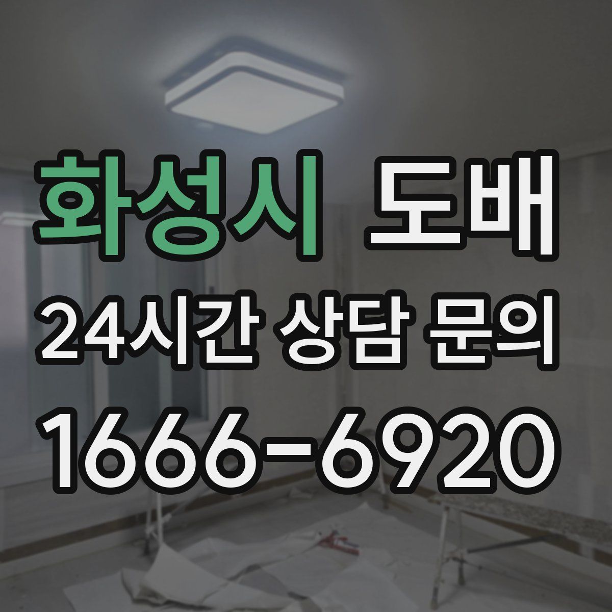 화성시 도배