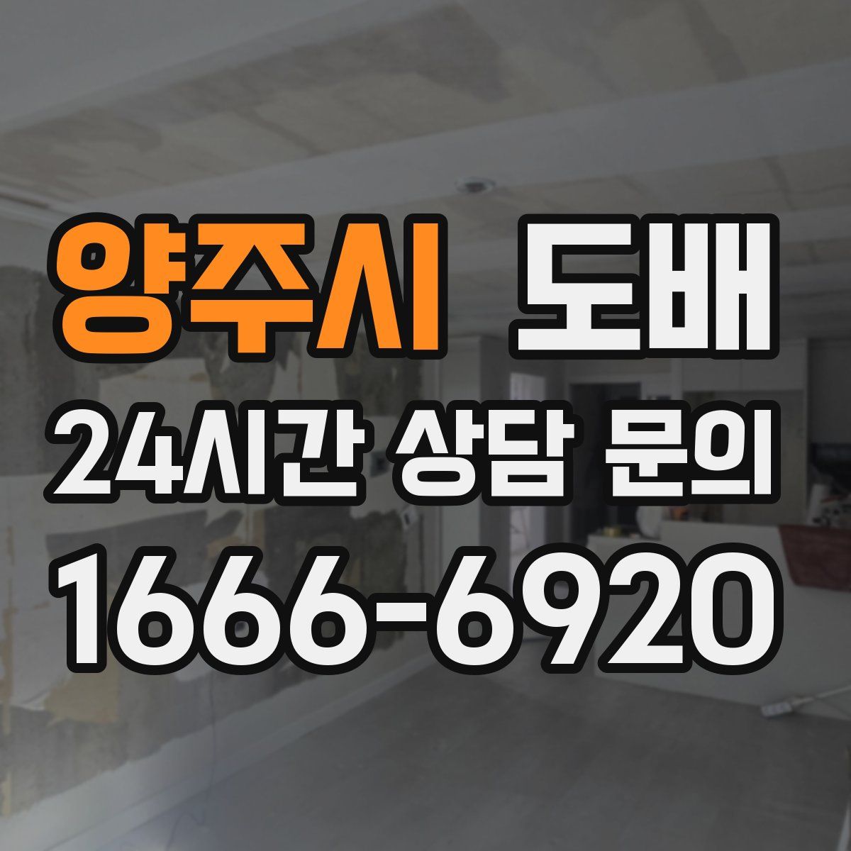 양주시 도배