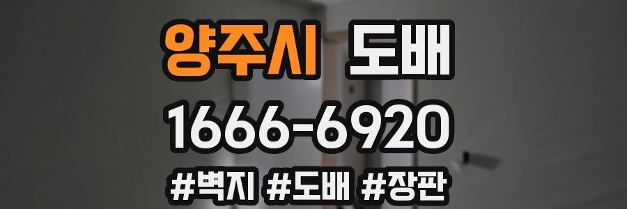 양주시 도배