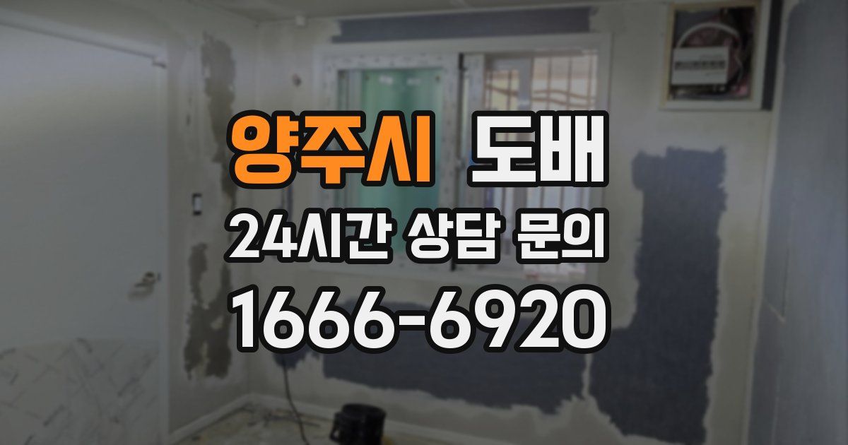 양주시 도배