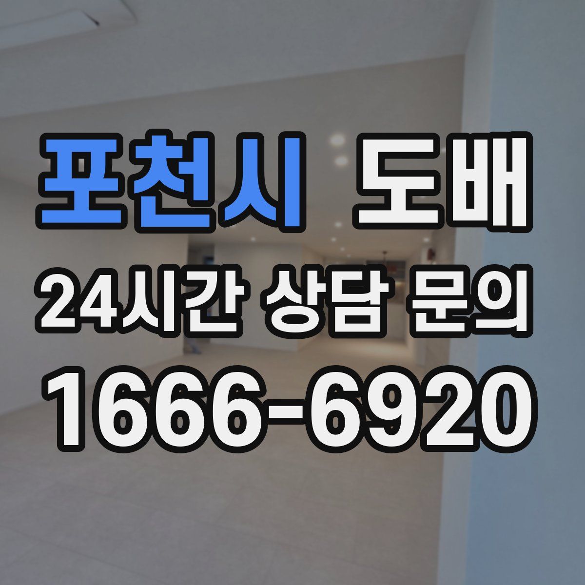 포천시 도배