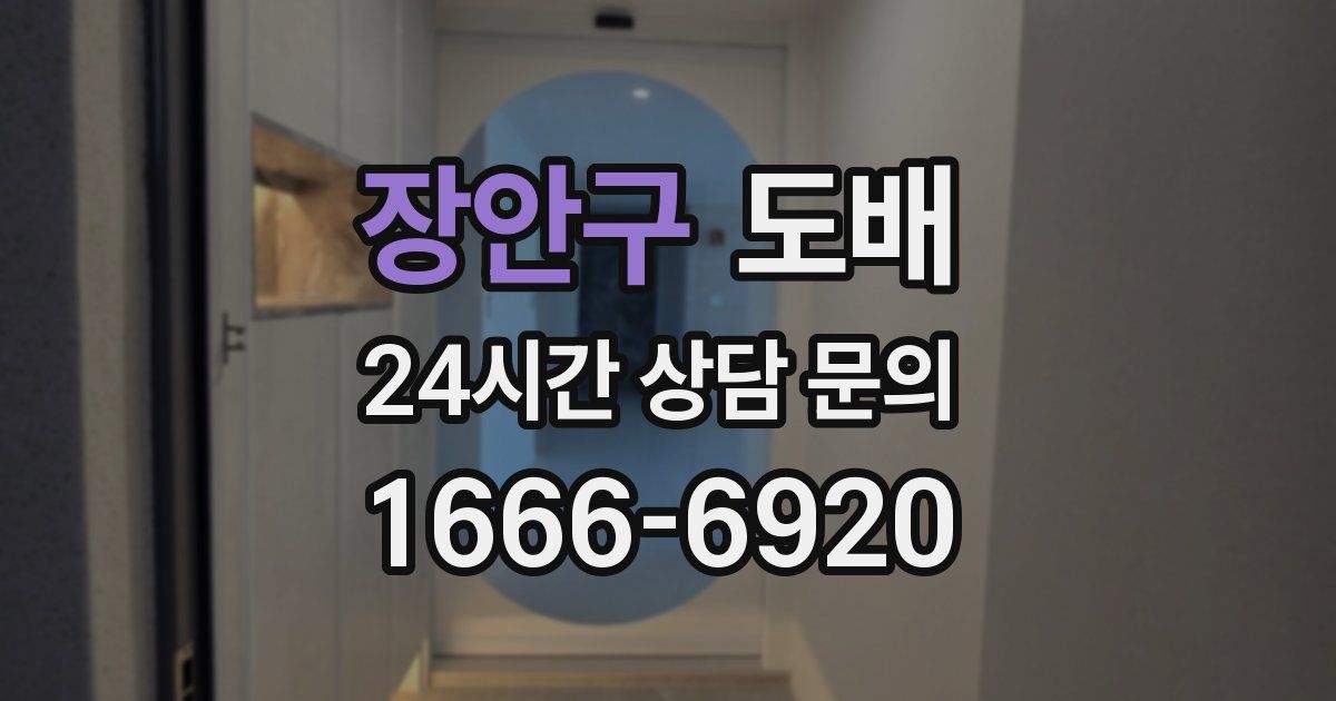 장안구 도배