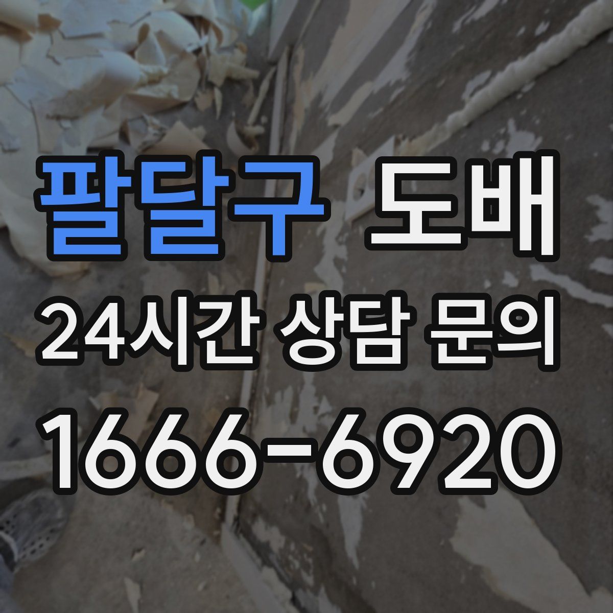 팔달구 도배