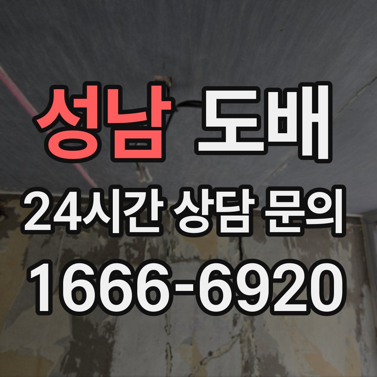 성남 도배