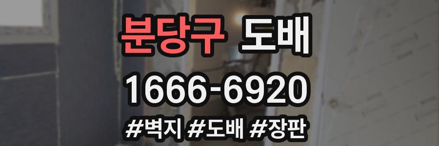 분당구 도배