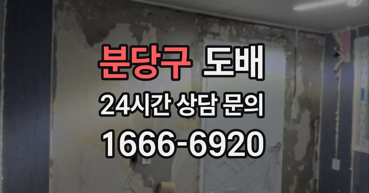 분당구 도배
