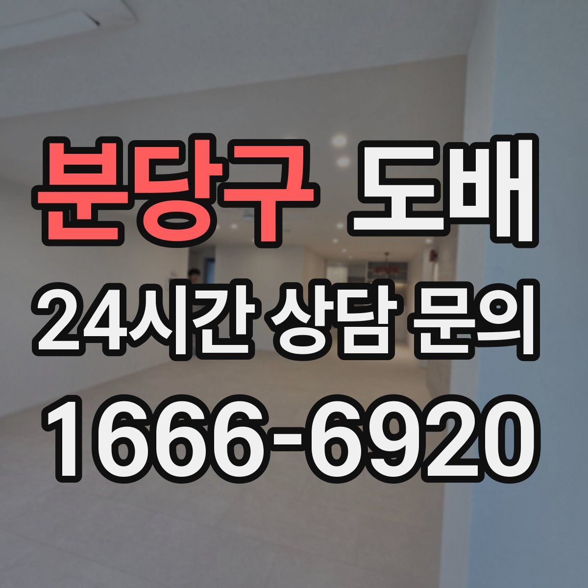 분당구 도배