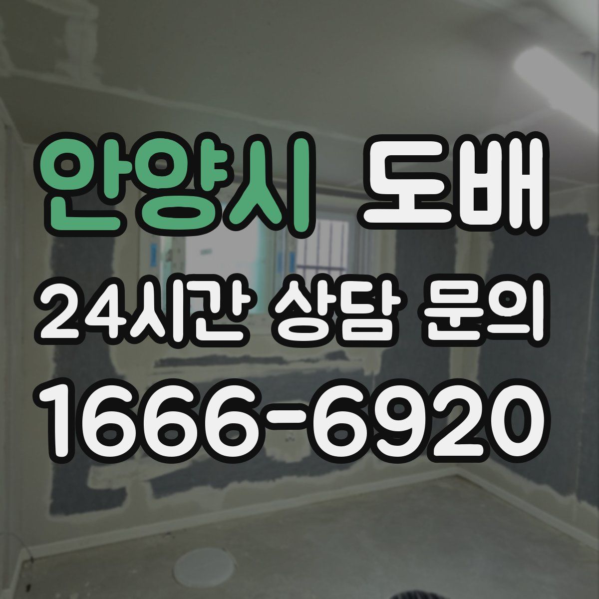 안양시 도배