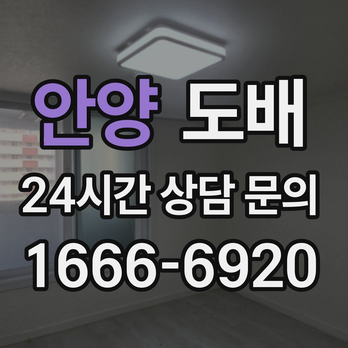 안양 도배