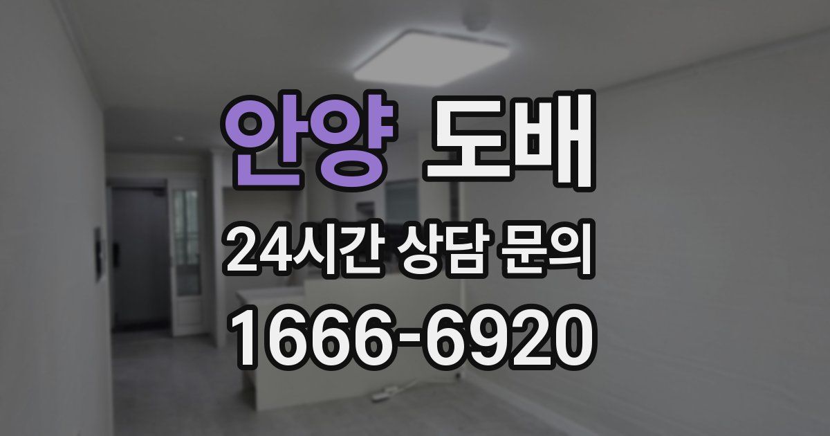 안양 도배