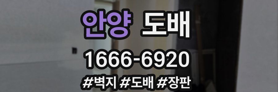 안양 도배