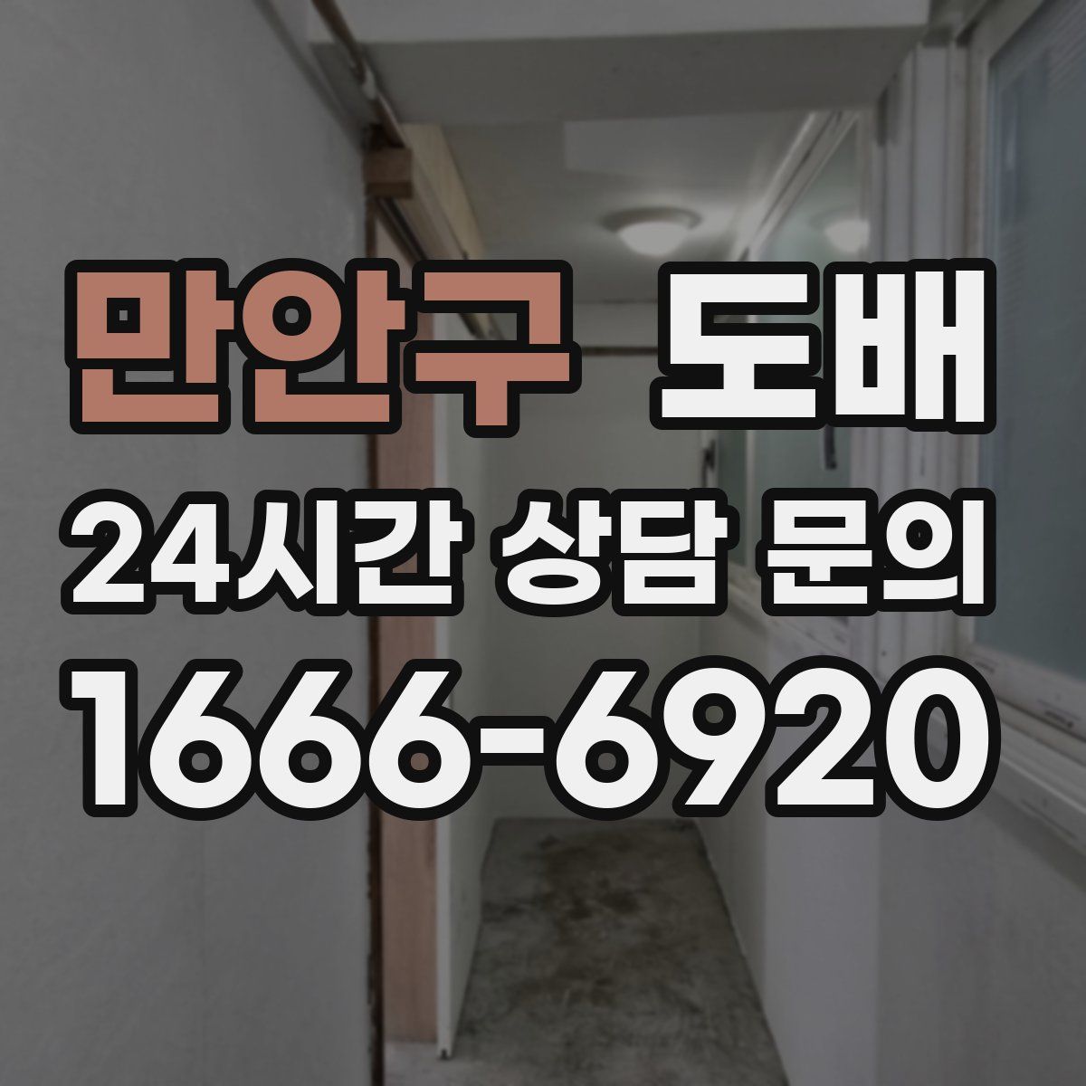 만안구 도배