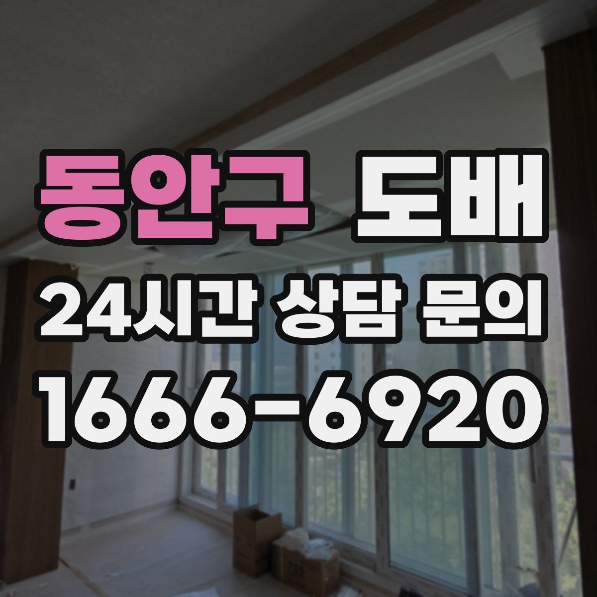 동안구 도배