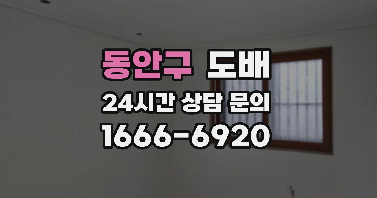 동안구 도배