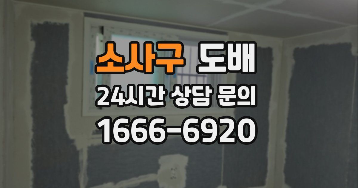 소사구 도배