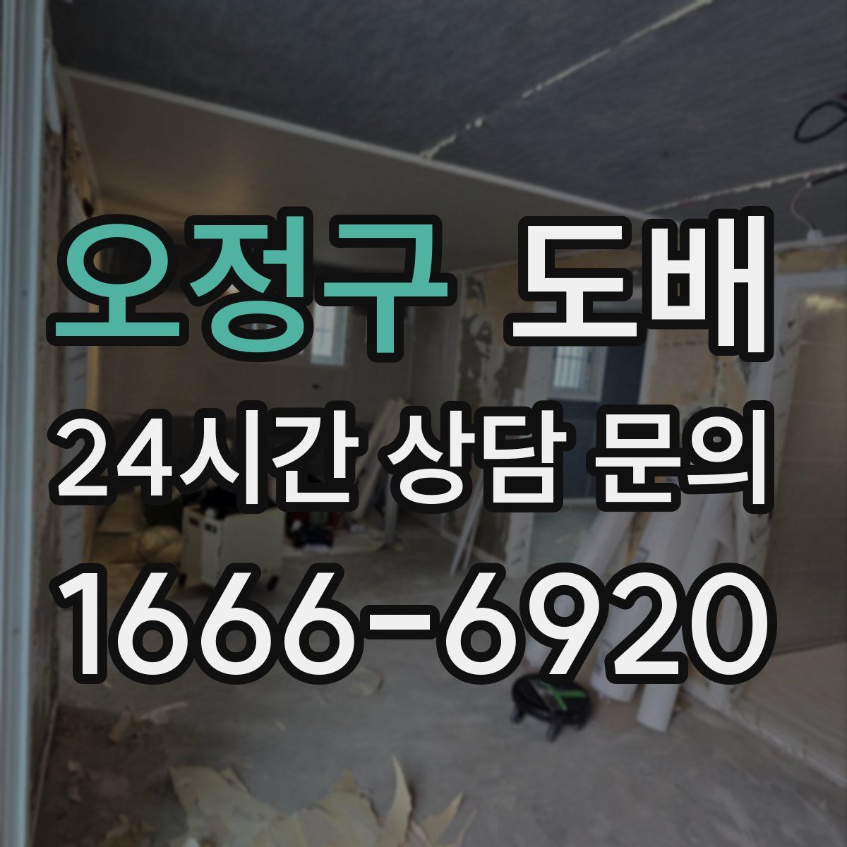 오정구 도배