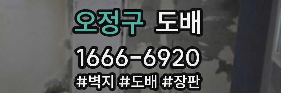 오정구 도배