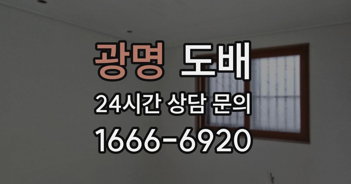 광명 도배