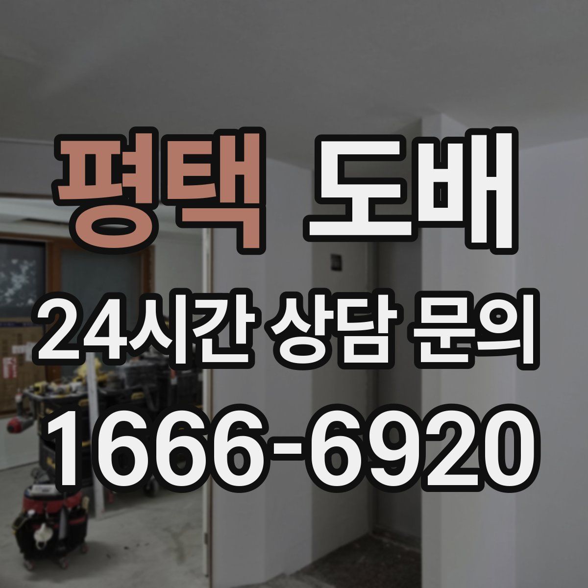 평택 도배