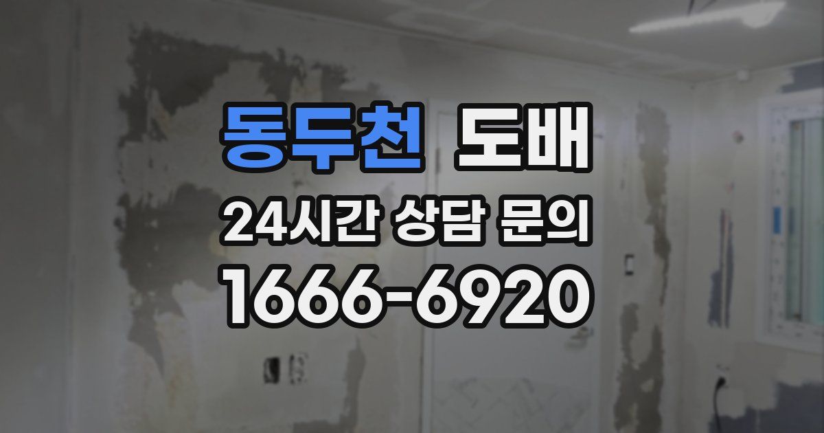 동두천 도배