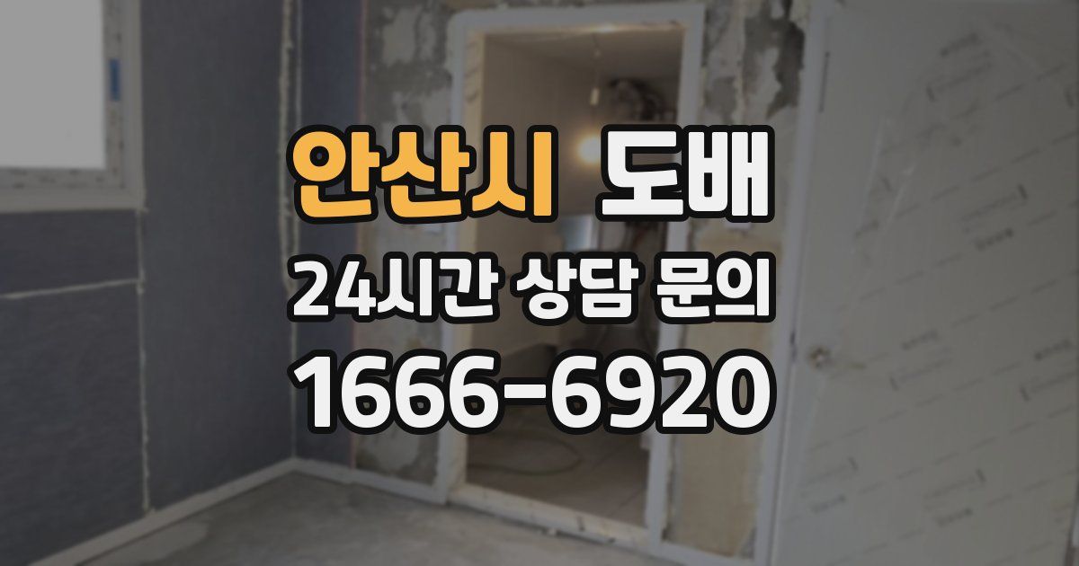 안산시 도배