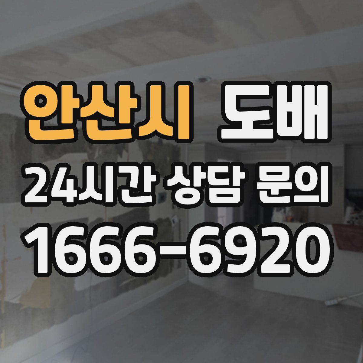 안산시 도배