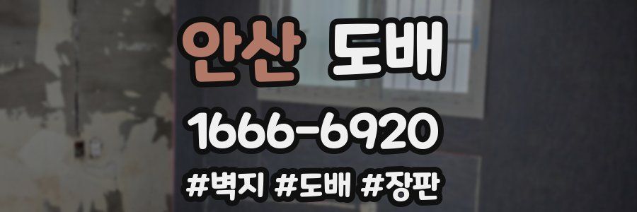 안산 도배
