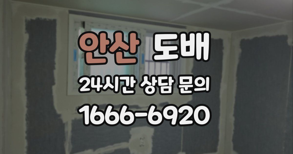 안산 도배