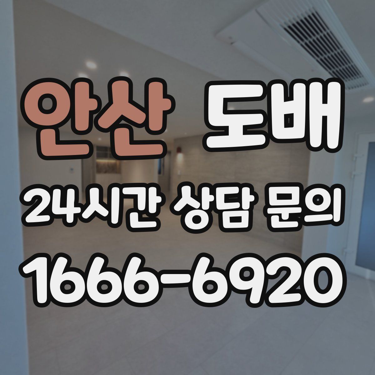 안산 도배