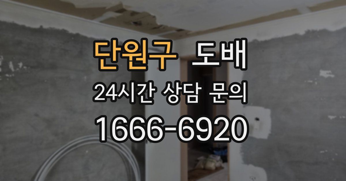 단원구 도배