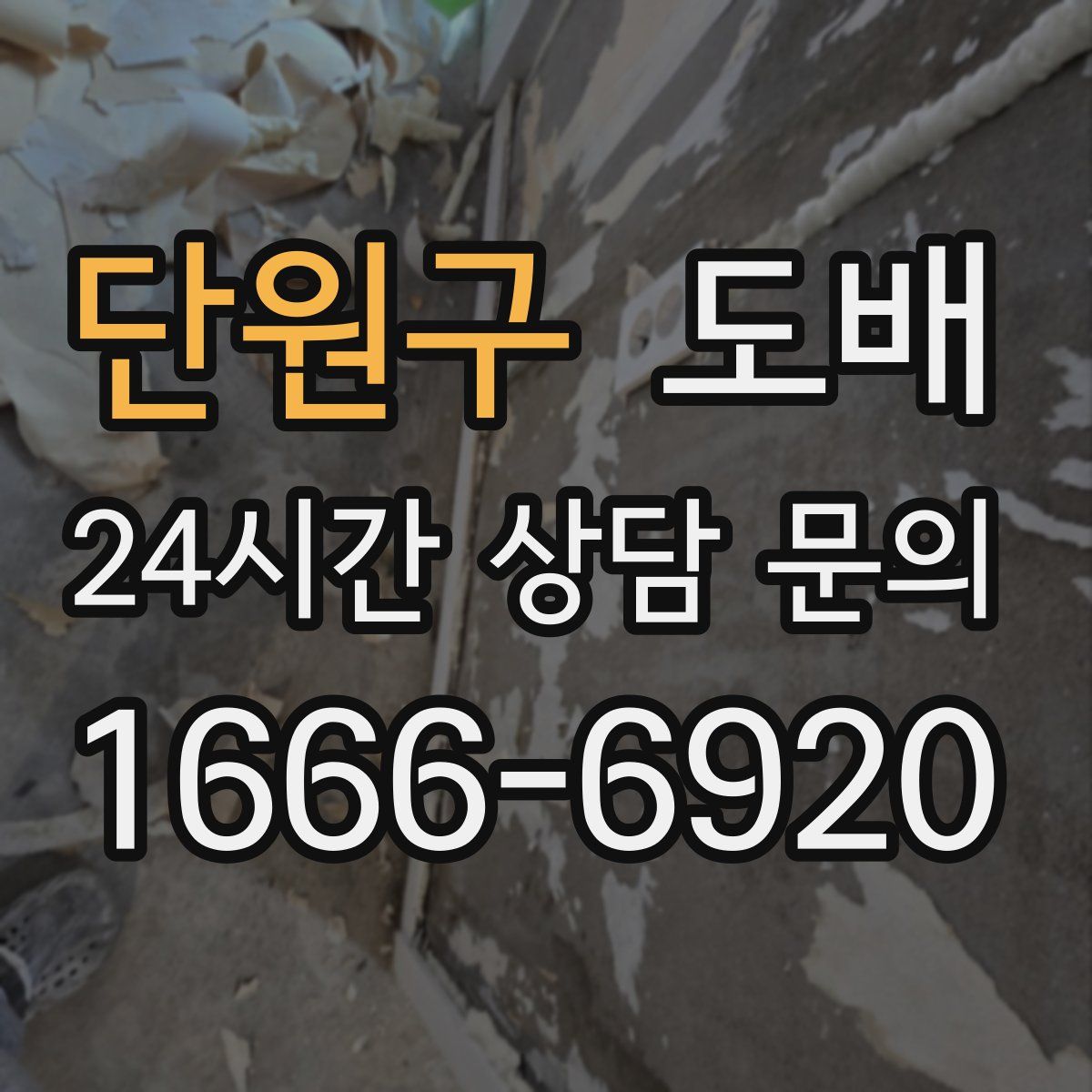 단원구 도배