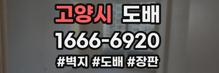 고양시 도배