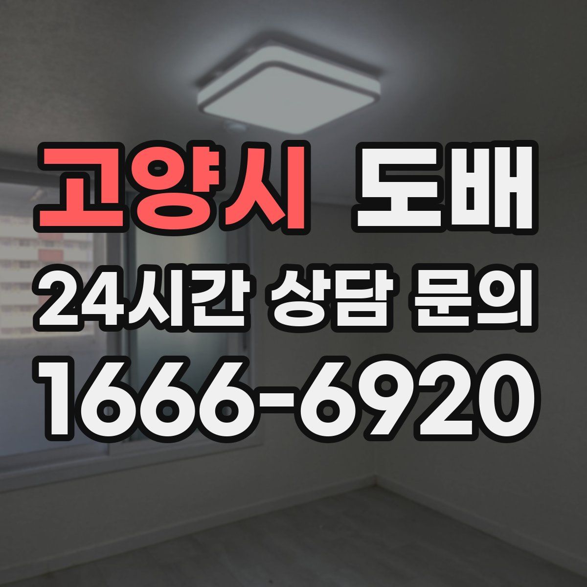 고양시 도배