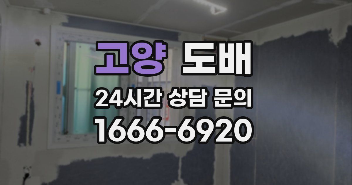 고양 도배