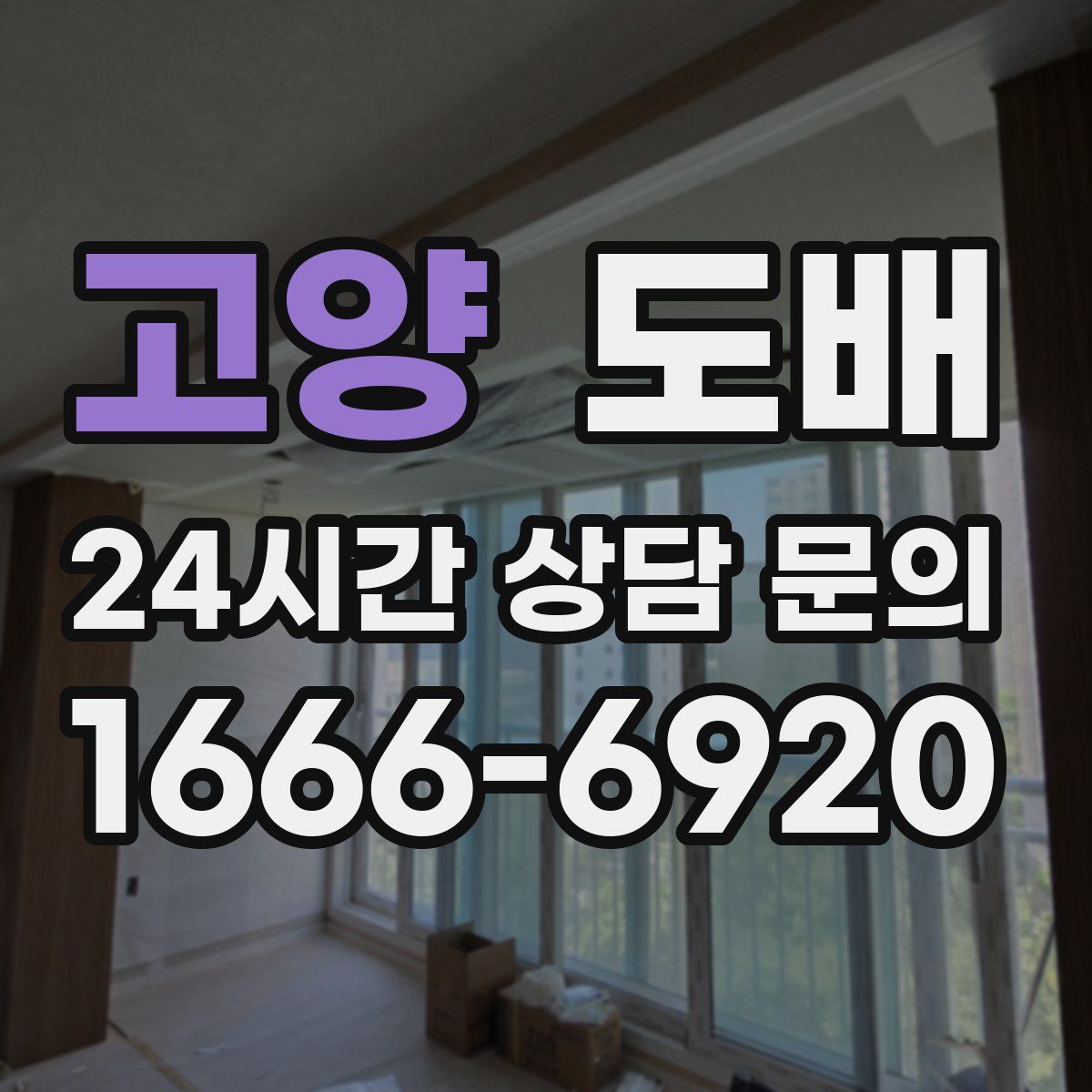 고양 도배
