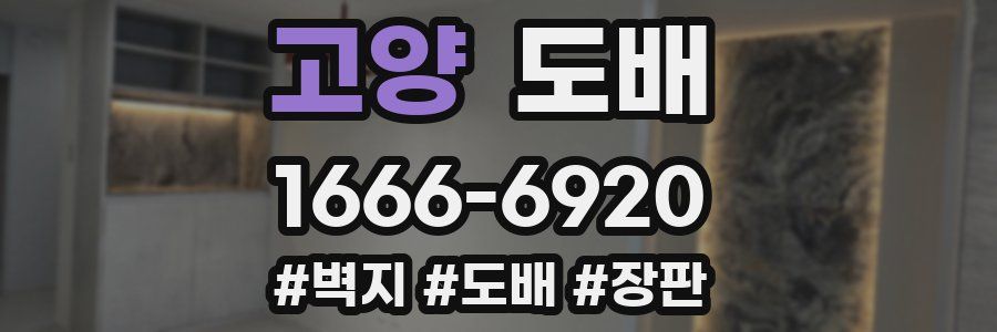 고양 도배