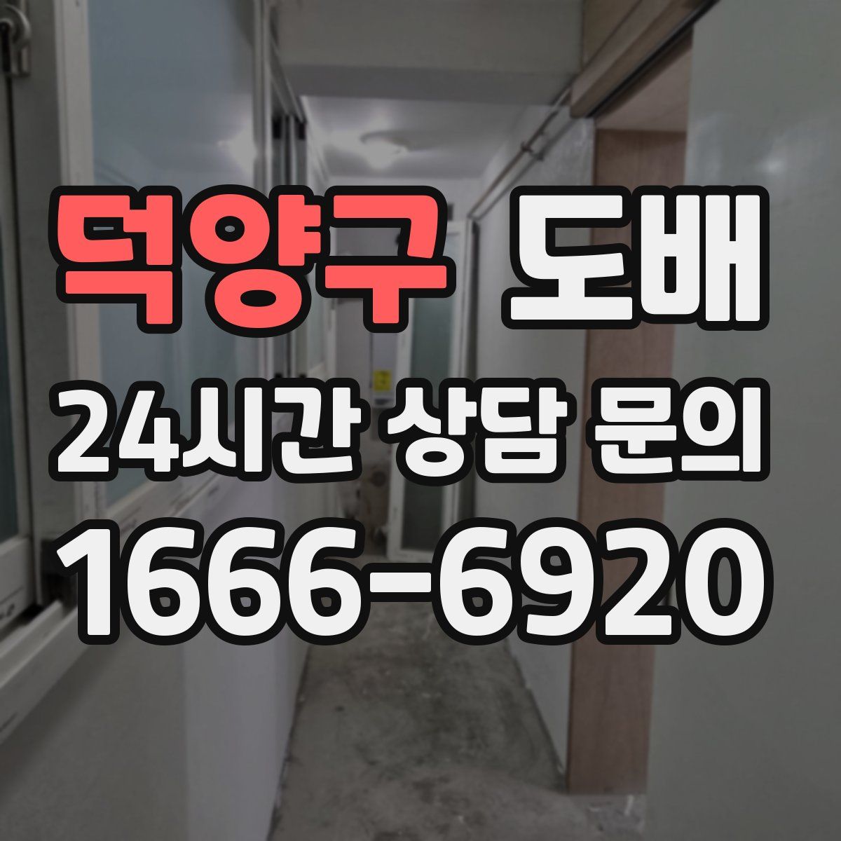 덕양구 도배